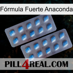 Fórmula Fuerte Anaconda viagra4